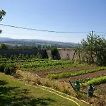 Bed & Breakfast Chez Jacotte Et Elia Saint-Galmier
