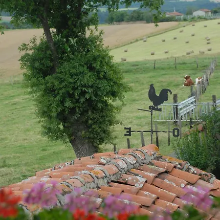 Bed & Breakfast Chez Jacotte Et Elia Saint-Galmier