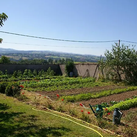 Bed & Breakfast Chez Jacotte Et Elia Saint-Galmier